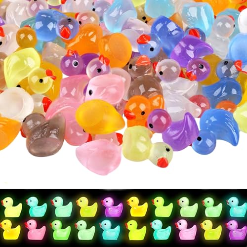 Mini Enten 100 Stück Leuchtende Harzenten Enten15 Farben Kleine Enten Mini Leuchtend Enten für Aquarium Puppenhaus DIY Potting Micro Landschaft Dekorationen Topfdekoration（15 Farben） von QHSXMQ