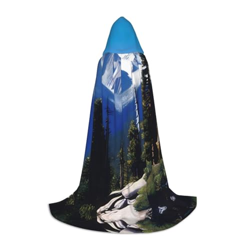 QHZLY 110 cm - 170 cm, ein Sierra Peaks Kapuzenumhang M für Festival, Cosplay, Maskerade, Bühne und Themenparty QHZLY 110 cm - 170 cm, ein Sierra Peaks Kapuzenumhang M für Festival, Cosplay, Maskerade, Bühne und Themenparty von QHZLY