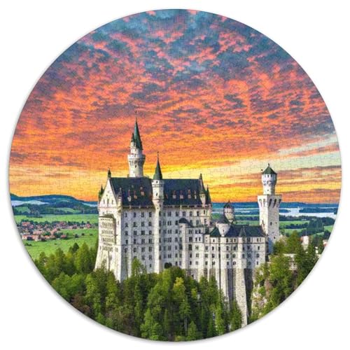 Karlsbrücke 1000 PCS Puzzle Circular Puzzles Schwieriges Großes Stressabbau-Spielzeug Geeignet 1000pcs (67.5x67.5cm) von QIAVXZIP