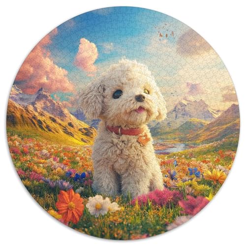 Shih Tzu 1000 PCS Puzzle Rundpuzzle Schwieriges Großes Stressabbau-Spielzeug Geeignet 1000pcs (67.5x67.5cm) von QIAVXZIP
