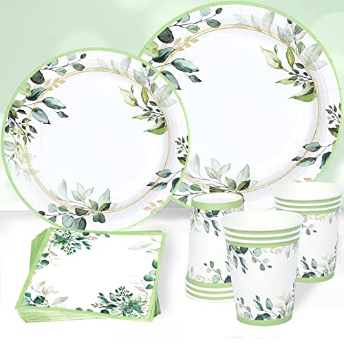 Grün Party Geschirrset, Grün Pappteller Tassen Servietten für 24 Personen, Grün Teller Set, Sage Green Babyparty Papierteller für Baby Shower Deko, Hochzeit, Geburtstag Deko, Brautparty von QIFU