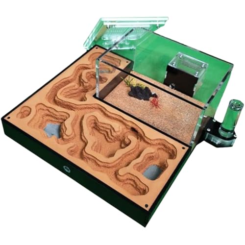 Großes Ameisenfarmschloss mit Acryllabyrinth – Lernen Sie das Verhalten und die Ökologie von Ameisen kennen, Lebensraum aus Gipsnest, Bürodekor, pädagogische Beobachtung Großes Ameisenfarmschloss mit Acryllabyrinth – Lernen Sie das Verhalten und die Ökologie von Ameisen kennen, Lebensraum aus Gipsnest, Bürodekor, pädagogische Beobachtung von QIPUCNLYA