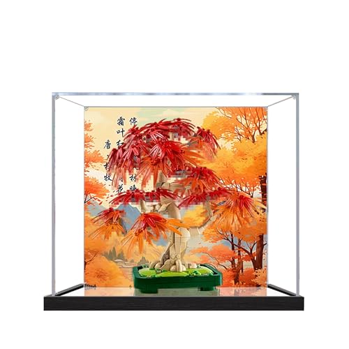 Acryl-Vitrine für Lego 10358 Soundwave-Modell, 3 mm staubdichte Schaukasten, Vitrine kompatibel mit Lego 10358 (Modell nicht im Lieferumfang enthalten) (Hintergrund 3 mm + Spiegel) von QIXINDGYH