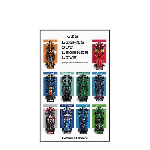 Display Wandboard für Lego 77242-77251 F1 Serie Rennwagen - Wandhalterung Display Ständer Kunst Wandhalterung Rahmen für Rennwagen Bauset - 50 x 80 cm (C) von QIXINDGYH