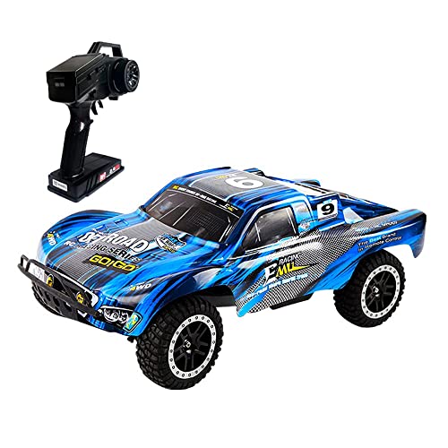 QIYHBVR Maßstab 1:10 Brushless RC Cars 80 Km/h Geschwindigkeit - Ferngesteuertes Auto Für Jungen 4x4 Offroad Monster Truck Electric - All Terrain Hobby Grade Spielzeug Für Kinder Und Erwachsene von QIYHBVR