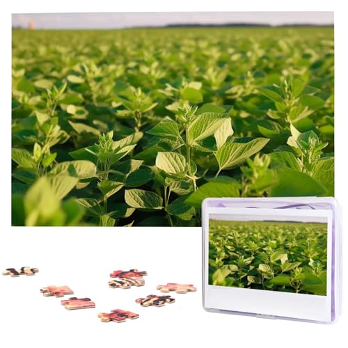 1000-teiliges Puzzle für Erwachsene, herausfordernde Puzzles, personalisiertes Holzpuzzle, Sojabohnenfeld, Fotos, Puzzles für Geburtstag, Weihnachten, 74,9 x 50 cm 1000-teiliges Puzzle für Erwachsene, herausfordernde Puzzles, personalisiertes Holzpuzzle, Sojabohnenfeld, Fotos, Puzzles für Geburtstag, Weihnachten, 74,9 x 50 cm von QMNEHJ