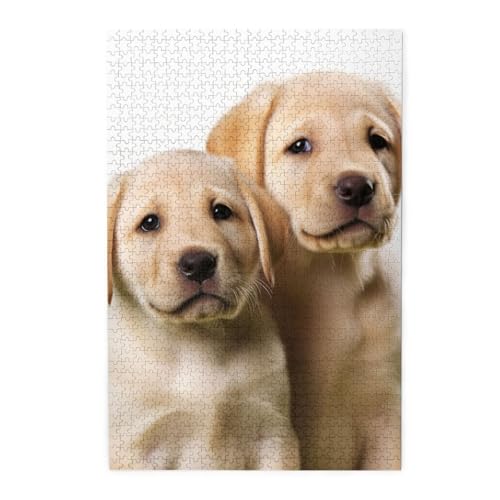1000-teiliges Puzzle für Erwachsene, herausforderndes Puzzle für Spielabende, Holzpuzzle, lustiger Labrador, Welpe, Hund, personalisierbar, Holzpuzzle für Familie, Bilderpuzzle, fertige Größe 74,9 x 1000-teiliges Puzzle für Erwachsene, herausforderndes Puzzle für Spielabende, Holzpuzzle, lustiger Labrador, Welpe, Hund, personalisierbar, Holzpuzzle für Familie, Bilderpuzzle, fertige Größe 74,9 x von QMNKLET