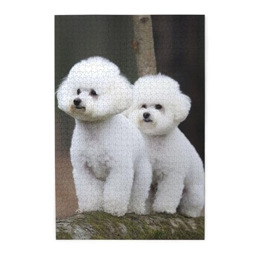 1000-teiliges Puzzle für Erwachsene, herausforderndes Puzzle für Spieleabende, Holzpuzzle, Bichon Frisé, personalisiertes Holzpuzzle für Familie, Bilderpuzzle, fertige Größe 74,9 x 50 cm 1000-teiliges Puzzle für Erwachsene, herausforderndes Puzzle für Spieleabende, Holzpuzzle, Bichon Frisé, personalisiertes Holzpuzzle für Familie, Bilderpuzzle, fertige Größe 74,9 x 50 cm von QMNKLET