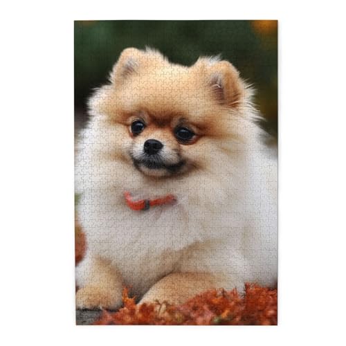 1000-teiliges Puzzle für Erwachsene, herausforderndes Puzzle für Spieleabende, Holzpuzzle, kurzhaariger Zwergspitzhund, personalisiertes Holzpuzzle für Familie, Bilderpuzzle, fertige Größe 74,9 x 50 1000-teiliges Puzzle für Erwachsene, herausforderndes Puzzle für Spieleabende, Holzpuzzle, kurzhaariger Zwergspitzhund, personalisiertes Holzpuzzle für Familie, Bilderpuzzle, fertige Größe 74,9 x 50 von QMNKLET