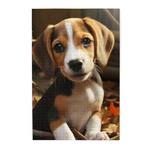 1000-teiliges Puzzle für Erwachsene, herausforderndes Puzzle für Spieleabende, Holzpuzzle, niedlicher Beagle, personalisiertes Holzpuzzle für Familie, Bilderpuzzle, fertige Größe 74,9 x 50 cm 1000-teiliges Puzzle für Erwachsene, herausforderndes Puzzle für Spieleabende, Holzpuzzle, niedlicher Beagle, personalisiertes Holzpuzzle für Familie, Bilderpuzzle, fertige Größe 74,9 x 50 cm von QMNKLET