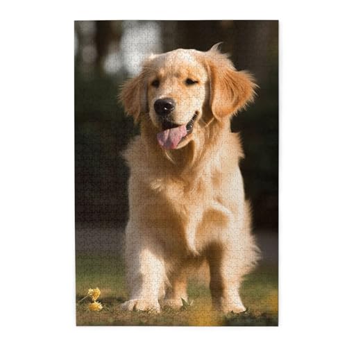 1000-teiliges Puzzle für Erwachsene, herausforderndes Puzzle für Spieleabende, Holzpuzzle Golden Retriever, Hund, personalisiertes Holzpuzzle für Familie, Bilderpuzzle, fertige Größe 74,9 x 50 cm 1000-teiliges Puzzle für Erwachsene, herausforderndes Puzzle für Spieleabende, Holzpuzzle Golden Retriever, Hund, personalisiertes Holzpuzzle für Familie, Bilderpuzzle, fertige Größe 74,9 x 50 cm von QMNKLET