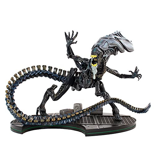 QUANTUM MECHANIX Alien Queen Q-Fig Max Elite, 15,2 cm, Black QUANTUM MECHANIX Alien Queen Q-Fig Max Elite, 15,2 cm, Black von Unbekannt