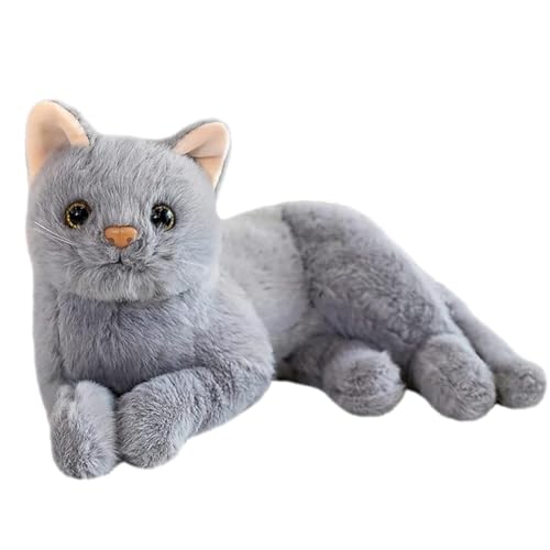 QNUOXEP Plüschkatze Stofftier Katzen, Graue Katze Plüsch, Katze Plüsch Puppe, Niedliche Plüsch Katze Geburtstags Geschenk, Heim Dekoration, 30CM QNUOXEP Plüschkatze Stofftier Katzen, Graue Katze Plüsch, Katze Plüsch Puppe, Niedliche Plüsch Katze Geburtstags Geschenk, Heim Dekoration, 30CM von QNUOXEP