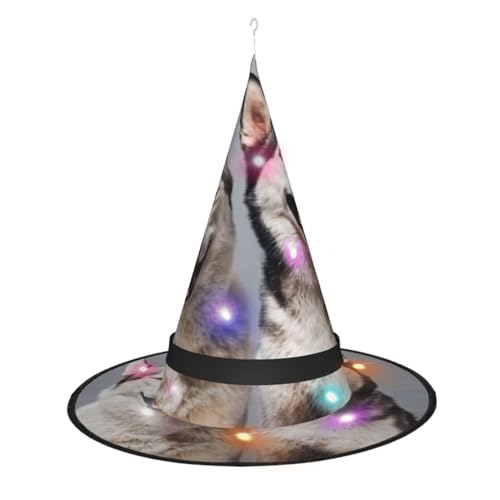QQLADY 1 Hexenhüte Husky Frauen LED Lichter Zauberer Hut Halloween Dekor Hängende Hexen Hüte Kostüm Party Favor von QQLADY
