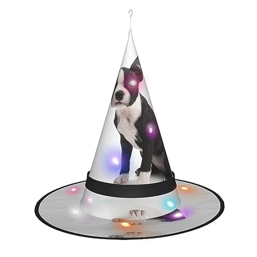 QQLADY Hexenhüte, niedlicher Hund, Damen, Halloween, LED-Lichter, Hexenhüte, hängende Zaubererhut, Dekoration, beleuchtete Hexenhüte, 2 Stück von QQLADY