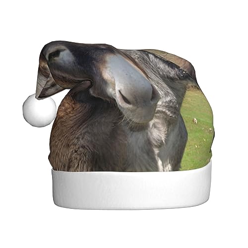 QQLADY Lustige Esel Weihnachtsmütze für Erwachsene Weihnachtsmütze Xmas Urlaub Hut für Neujahr Party Supplies von QQLADY