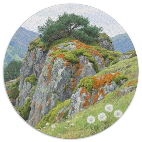 Bergstil Farbenfrohes Puzzle 1000 Stück Bewährter Qualität Für Erwachsene Und Kinder Schöne Landschaft Geschicklichkeitsspiel Geschenke Für Frauen Home Dekoration 1000pcs (67.5x67.5cm) von QTIVARLEN