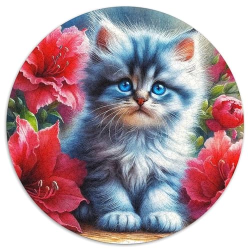 Cat Puzzle 1000 Teilige Für Erwachsene Und Kinder Cute Pet Cat Herausforderung Spiel Pädagogisches Spielzeug Home Dekoration in Bewährter Qualität 1000pcs (67.5x67.5cm) von QTIVARLEN