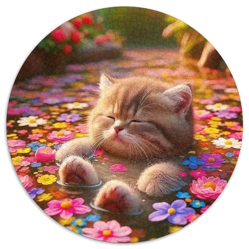 Cat Puzzle 1000 Teilige Für Erwachsene Und Kinder Cute Pet Cat Herausforderung Spiel Pädagogisches Spielzeug Home Dekoration in Bewährter Qualität 1000pcs (67.5x67.5cm) von QTIVARLEN