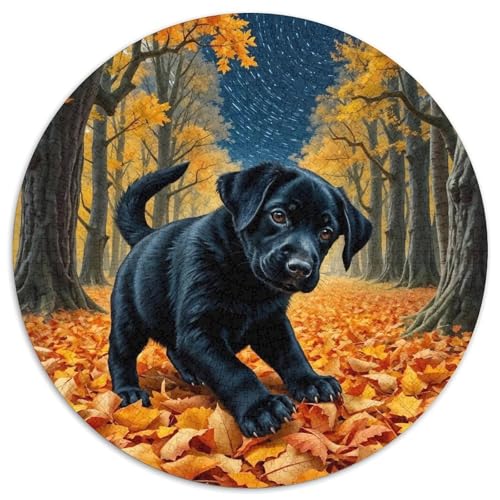 Der Labrador Retriever Erwachsene Puzzle 1000 Teile Für Erwachsene Niedlicher Haustierhund Impossible Geschicklichkeitsspiel Puzzles Geschenk Familie Home Dekoration 1000pcs (67.5x67.5cm) von QTIVARLEN
