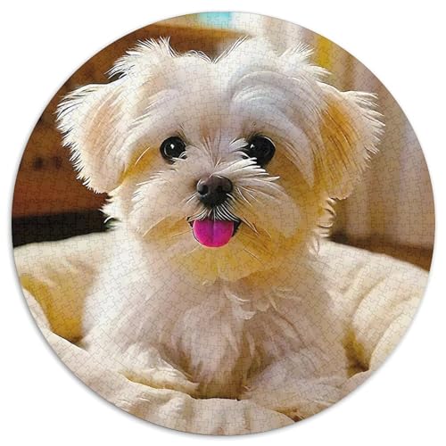 EIN lebendiger Hund Puzzle 1000 Teile Für Erwachsene Und Kinder Niedlicher Haustierhund Herausforderung Spiel Klassisches Geschenk Dekoration (67.5x67.5cm) von QTIVARLEN