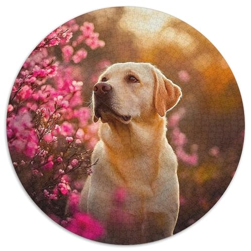 EIN lebendiger Hund Puzzle 1000 Teile Für Erwachsene Und Kinder Niedlicher Haustierhund Lernspiel Klassisches Geschenk Home Dekoration (67.5x67.5cm) von QTIVARLEN