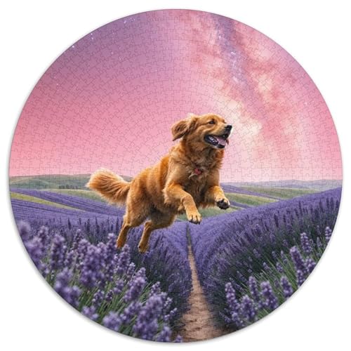 Goldener Retriever Farbenfrohes Puzzle 1000 Teile Für Erwachsene Niedlicher Haustierhund EIN Herausforderndes Rätsel Puzzles Geschenk Familie Home Dekoration 1000pcs (67.5x67.5cm) von QTIVARLEN
