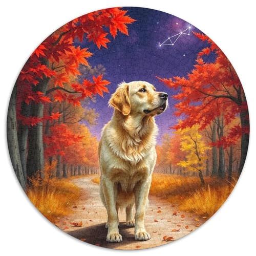 Goldener Retriever Farbenfrohes Puzzle 1000 Teile Für Erwachsene Niedlicher Haustierhund Herausforderung Spielzeug Puzzles Geschenk Familie Home Dekoration 1000pcs (67.5x67.5cm) von QTIVARLEN