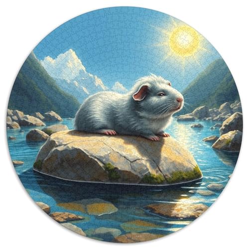 Guineeschwein Farbenfrohes Puzzle 1000 Stück Bewährter Qualität Erwachsene Kinder Niedliches Haustier Geschicklichkeitsspiel Geschenke Männer Wanddekoration 1000pcs (67.5x67.5cm)​ von QTIVARLEN