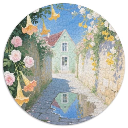 Kleine Stadt Stil Farbenfrohes Puzzle 1000 Teile Bewährter Qualität Für Erwachsene Und Kinder Schöne Landschaft Geschicklichkeitsspiel Geschenke Für Frauen Wanddekoration 1000pcs (67.5x67.5cm) von QTIVARLEN