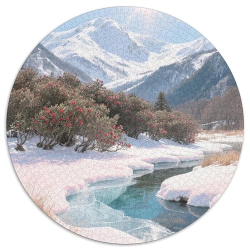 Landschaftsstil Farbenfrohes Puzzle 1000 Teile Bewährter Qualität Für Erwachsene Und Kinder Schöne Landschaft Puzzlespiele Für Die Ganze Familie Geschenke Für Männer Pädagogisches Spielzeug 1000pcs von QTIVARLEN