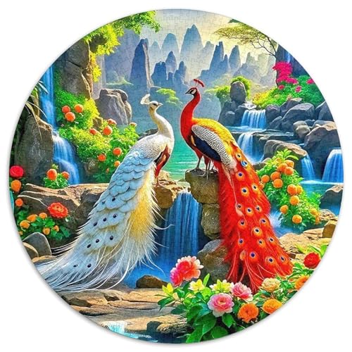 Peacock Puzzle 1000 Teilige Für Erwachsene Und Kinder Vibrant Peacock Impossible Geschicklichkeitsspiel Klassische Geschenk Home Dekoration in Bewährter Qualität 1000pcs (67.5x67.5cm) von QTIVARLEN