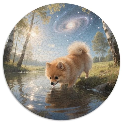 Pommern Erwachsene Puzzle 1000 Teile in Bewährter Qualität Cute Haustier Hund Puzzlespiele Für Die Familie Puzzles 1000pcs (67.5x67.5cm) von QTIVARLEN
