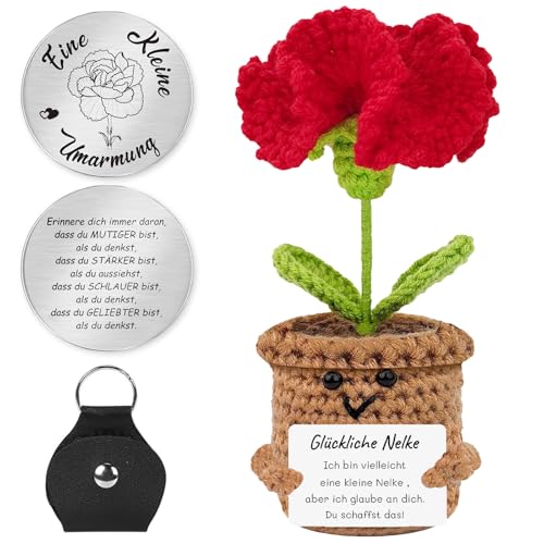 QUANMAITONG Glücksbringer Blumen Pocket Hug Geschenk Für Frauen, Lustige Mutmacher Geschenk Glücksbringer Prüfung，Gute Besserung Lehrer Geschenke Beste Mama Muttertagsgeschenk von QUANMAITONG