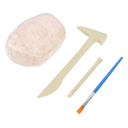 QUMIIRITY 1 Satz DIY Arbeitsset für Edelstein Ausgrabungs und Armband Bastelset Fördert Kreativität und Handwerkliche Fähigkeiten Geeignet für Spielerisches Lernen und Entdeckung QUMIIRITY 1 Satz DIY Arbeitsset für Edelstein Ausgrabungs und Armband Bastelset Fördert Kreativität und Handwerkliche Fähigkeiten Geeignet für Spielerisches Lernen und Entdeckung von QUMIIRITY