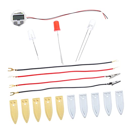 QUMIIRITY 1 Satz DIY Batterie Experimentierset für Pädagogisches zur Stromerzeugung Kreatives Wissenschaftsprojekt für Heimschule und Experimentieren von QUMIIRITY