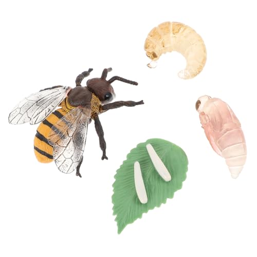 QUMIIRITY 1 Satz Simulation Bienenmodell Pädagogisches für Lernspielzeug zur Biologischer Kenntnisse und Vorstellungskraft von QUMIIRITY