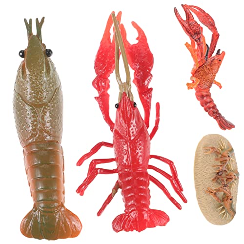 QUMIIRITY 1 Set Tiermodell Kinderspielzeug Der Hummer Meerestierspielzeug Kreatives Hummer Wachstumsspielzeug Hummerspielzeug Hummer Wachstumszyklusmodelle Gefälschte Hummermodelle Hummer von QUMIIRITY