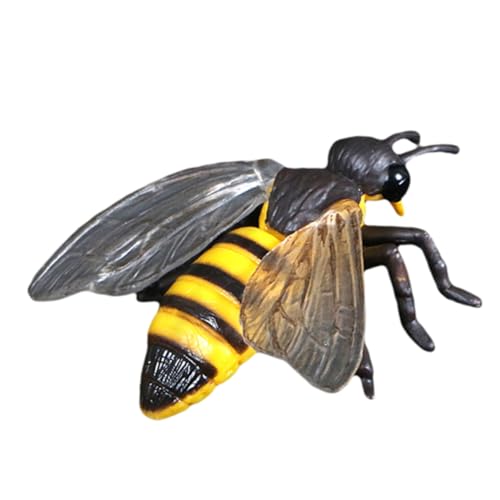 QUMIIRITY 1Satz Simulation Tierwachstumsmodell Realistische Tierschmuck Figuren für Pädagogisches zur Unterstützung von Rollenspiel Geschichtenerzählen und Präsentationen QUMIIRITY 1Satz Simulation Tierwachstumsmodell Realistische Tierschmuck Figuren für Pädagogisches zur Unterstützung von Rollenspiel Geschichtenerzählen und Präsentationen von QUMIIRITY