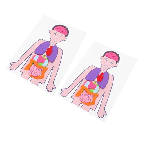 QUMIIRITY 2 Sätze Lernspielzeug für Humanorgane DIY Kreativität und Hand Augen Koordination für Vorschulbildung und Wissenschaftliche Experimente QUMIIRITY 2 Sätze Lernspielzeug für Humanorgane DIY Kreativität und Hand Augen Koordination für Vorschulbildung und Wissenschaftliche Experimente von QUMIIRITY