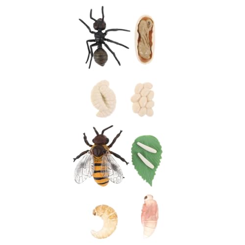 QUMIIRITY 2Sätze Bienen und Ameisen Lebenszyklus Modelle Teiliges für Kognitive Spielzeuge zur Veranschaulichung von Insektenwachstum und Lernwerkzeugen für Schulprojekte QUMIIRITY 2Sätze Bienen und Ameisen Lebenszyklus Modelle Teiliges für Kognitive Spielzeuge zur Veranschaulichung von Insektenwachstum und Lernwerkzeugen für Schulprojekte von QUMIIRITY