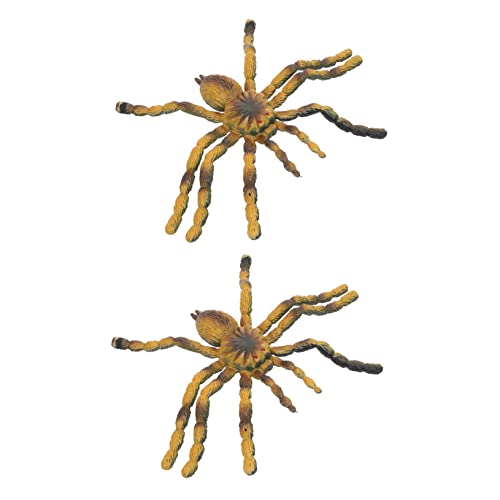 QUMIIRITY 2Stücke Realistische Tarantula Spielzeuge Dekoratives und Edukatives Spinnenmodell für Lernspielzeug Kreativität und Naturverständnis von QUMIIRITY