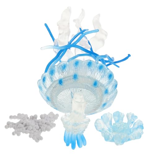 QUMIIRITY 4 Stück Kinderquallen Lebenszyklus Modell Teiliges Aquarium Deko aus Kindersicherem Kunststoff Lehrreiches Quallen Ornament zur Spielerischen Meereswelt Erkundung und Motorischen von QUMIIRITY