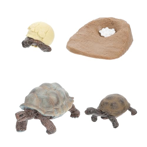 QUMIIRITY 4Stücke Lebenszyklus Schildkröten Figuren Realistische Desktop Dekoration für Wachstumszyklus Fördert Konzentration und Fantasie Zufällige Farben QUMIIRITY 4Stücke Lebenszyklus Schildkröten Figuren Realistische Desktop Dekoration für Wachstumszyklus Fördert Konzentration und Fantasie Zufällige Farben von QUMIIRITY
