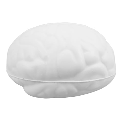 QUMIIRITY Ball In Form des Menschlichen Gehirns Matschiges Stressball Lustiges Zum Stressabbau Stressball Dehnbares Ballspielzeug In Gehirnform QUMIIRITY Ball In Form des Menschlichen Gehirns Matschiges Stressball Lustiges Zum Stressabbau Stressball Dehnbares Ballspielzeug In Gehirnform von QUMIIRITY