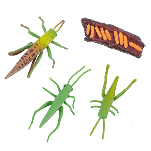 QUMIIRITY Insekten Lebenszyklus Modellset Simulierte Insektenfiguren für Garten Dekoration und Lernspielzeug Fördert Kindliche Entwicklung und Wissensvermittlung QUMIIRITY Insekten Lebenszyklus Modellset Simulierte Insektenfiguren für Garten Dekoration und Lernspielzeug Fördert Kindliche Entwicklung und Wissensvermittlung von QUMIIRITY