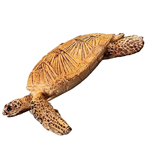 QUMIIRITY Künstliche Meeresschildkröten Schildkröten Dekoration Kostüm Ornamente Action Modelle Dinosaurier Realistische Schildkröten Kreaturen Mini Figur Tierfiguren QUMIIRITY Künstliche Meeresschildkröten Schildkröten Dekoration Kostüm Ornamente Action Modelle Dinosaurier Realistische Schildkröten Kreaturen Mini Figur Tierfiguren von QUMIIRITY