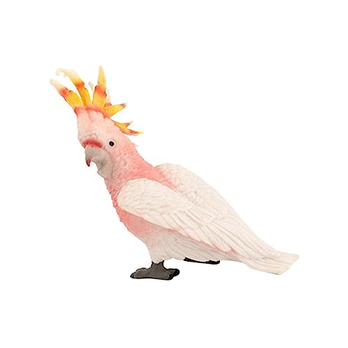 QUMIIRITY -Modell für kinderspielzeug Children Toys wohnungseinrichtung wohnungsdeko kleines Papageienmodell Modell Einer Papageienfigur Corella-Modell Plastik von QUMIIRITY