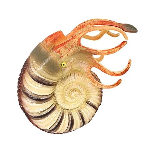QUMIIRITY Nautilus Tiermodell Realistisches Meereslebewesen für Lernspielzeug Kreativität und Vorstellungskraft Aquarium Dekoration Langlebig und Stabil QUMIIRITY Nautilus Tiermodell Realistisches Meereslebewesen für Lernspielzeug Kreativität und Vorstellungskraft Aquarium Dekoration Langlebig und Stabil von QUMIIRITY