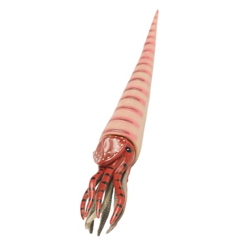QUMIIRITY Orthoceras Modell Realistisches Tierspielzeug Aus Unterwasserwelt Figuren Für Kognitive Entwicklung Für Ab Jahren Kreativität QUMIIRITY Orthoceras Modell Realistisches Tierspielzeug Aus Unterwasserwelt Figuren Für Kognitive Entwicklung Für Ab Jahren Kreativität von QUMIIRITY